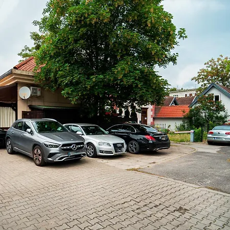 Blue Octopus סופוט