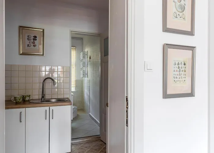 Blue Octopus דירה