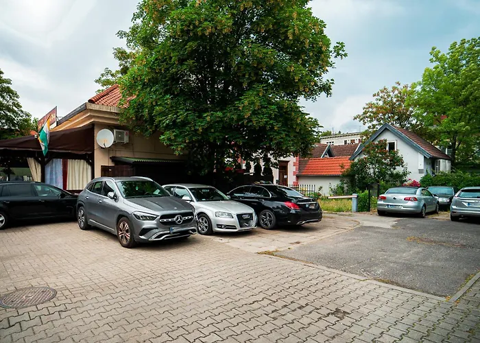 Blue Octopus סופוט